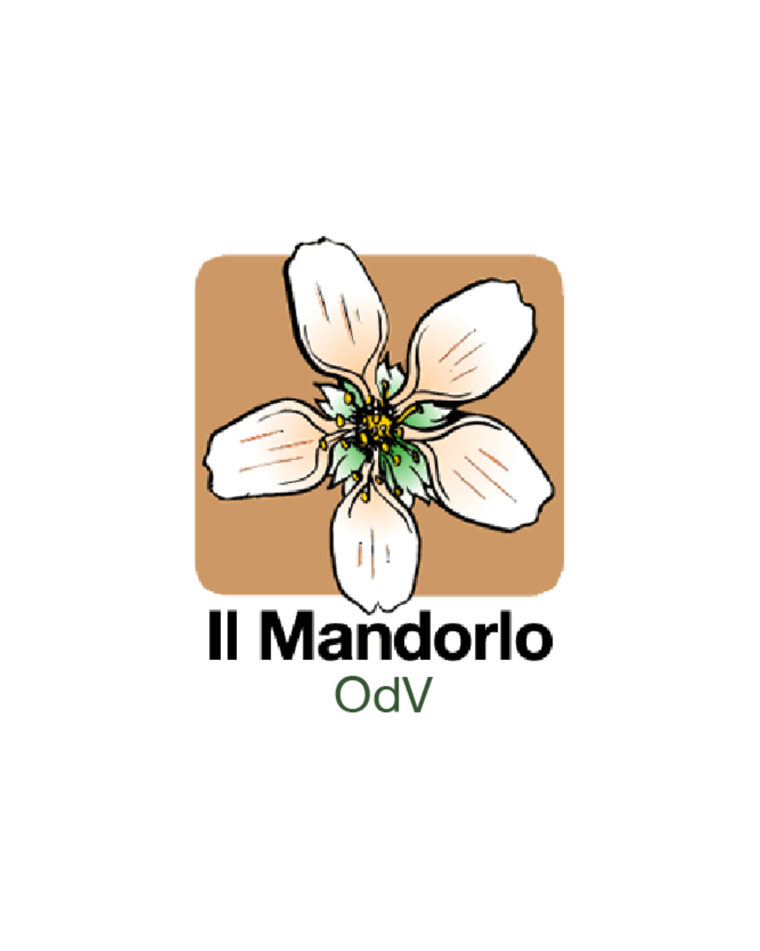 Associazione Il Mandorlo 